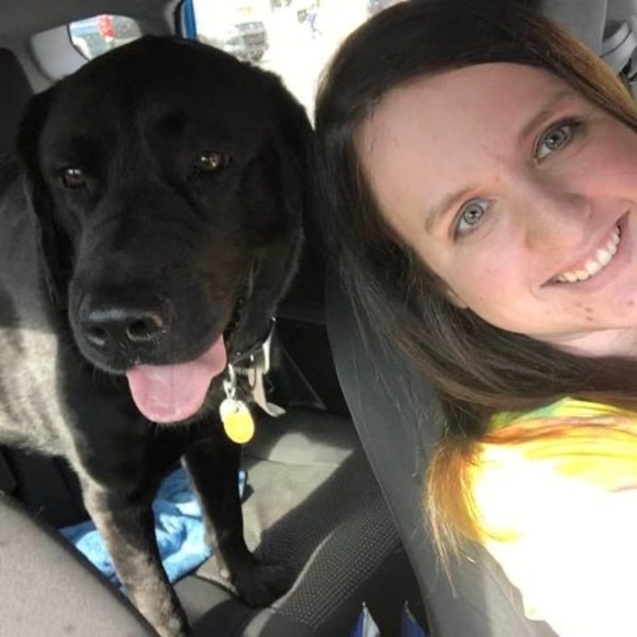 Meet your Posher, Kelly - Picture 1 of 1